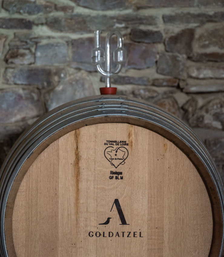 Collage-Weingut-Goldatzel-2